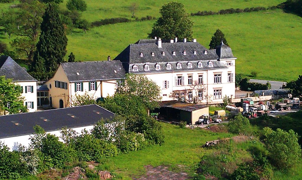 Haus Sonnenschein Apartment Wiltingen Екстериор снимка